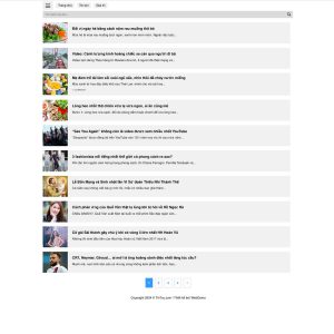 Themes wordpress mẫu website tin tức công nghệ, blog, báo chí, blog cá nhân 24
